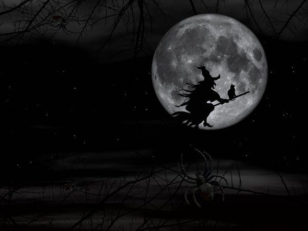 halloween, ведьма, луна, метла, ночь, паук, полет, хеллоуин