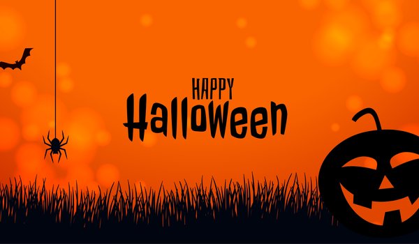 Обои на рабочий стол: halloween, Happy Halloween, летучая мышь, пауки, трава, тыква, хеллоуин