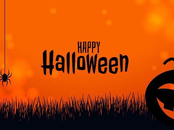 halloween, Happy Halloween, летучая мышь, пауки, трава, тыква, хеллоуин