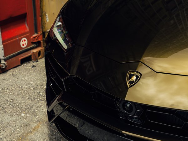 Bronze, face, lamborghini, Urus, VAG, Контейнер, морда, порт, СВХ