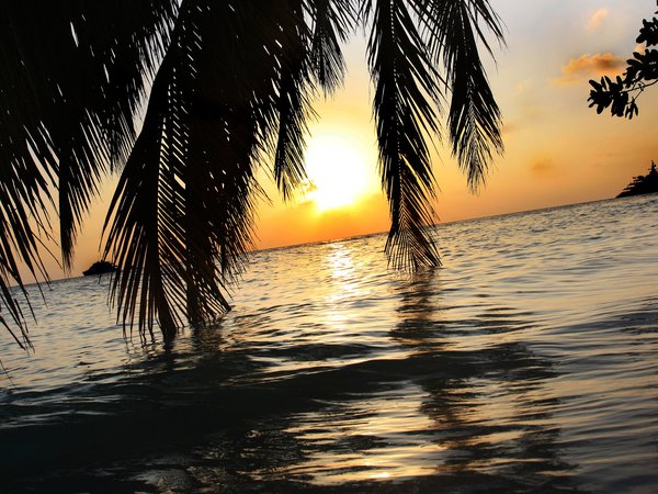 bandos island, maldives, бандос, закат, мальдивы, море, небо, остров, отдых, пальмы, солнце, яхты