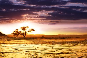 Обои на рабочий стол: african landscape, sunrise, африка, горизонт, дерево, красота, небо, облака, пейзаж, песок, рассвет, саванна