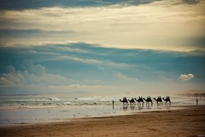 Обои на рабочий стол: берег, верблюды, волны, горизонт, караван, люди, море, небо, пейзаж, песок, тучи