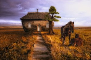 Обои на рабочий стол: дерево, дом, конь, лошадь, поле, тропа