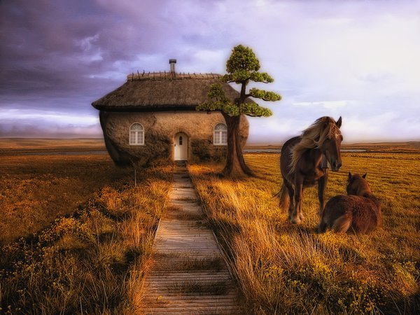 дерево, дом, конь, лошадь, поле, тропа