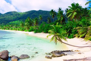 Обои на рабочий стол: island, sand beach, scenery, sea, белые, море, облака, остров, пальмы, пейзаж, песок, пляж, тропики