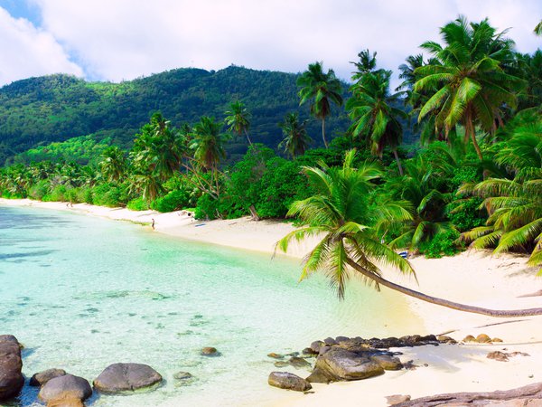 island, sand beach, scenery, sea, белые, море, облака, остров, пальмы, пейзаж, песок, пляж, тропики