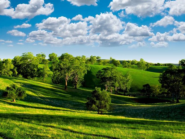 blue sky, clouds, green valley, landscape, nature, photo, scenery, trees, голубое, горизонт, деревья, долина, зелёная, небо, облака, природа