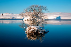Обои на рабочий стол: вода, дерево, зима, небо, озеро, отражение