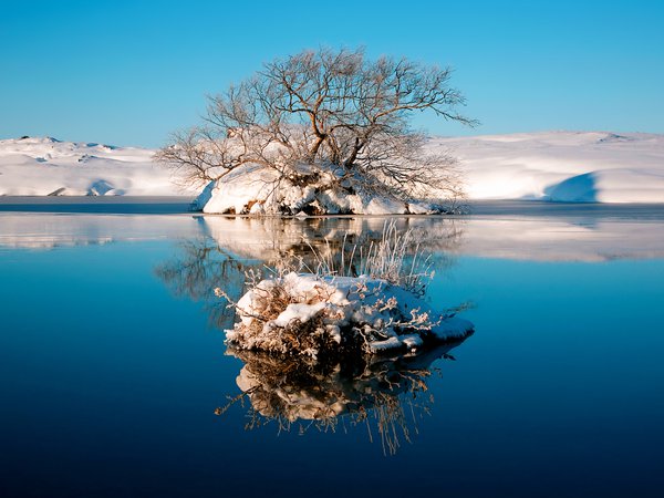 вода, дерево, зима, небо, озеро, отражение