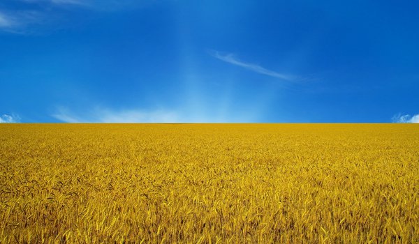 Обои на рабочий стол: flag, небо, украина, флаг