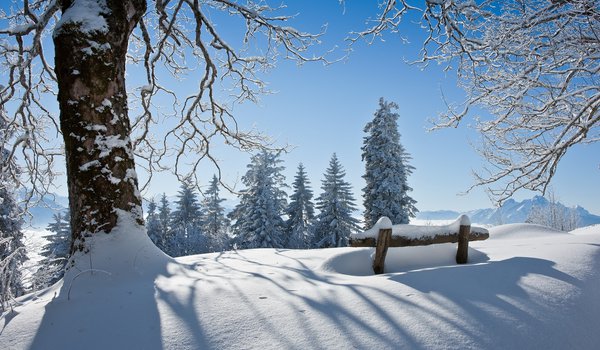 Обои на рабочий стол: дерево, зима, красота, пейзаж, скамья, снег