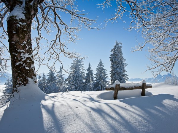 дерево, зима, красота, пейзаж, скамья, снег