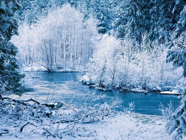 деревья, зима, лес, природа, речка, снег