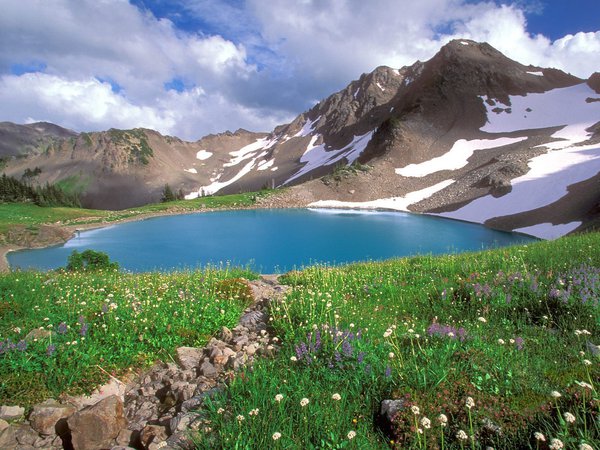 горы, озеро, цветы