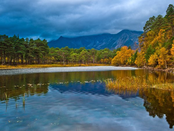 england, loch Clair, scotland, лес, озеро, осень, пейзаж