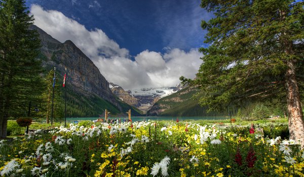 Обои на рабочий стол: Banff National Park, canada, Lake Louise, горы, деревья, канада, озеро, природа, цветы