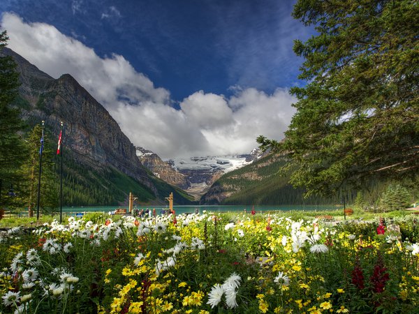 Banff National Park, canada, Lake Louise, горы, деревья, канада, озеро, природа, цветы
