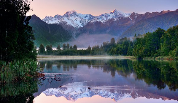 Обои на рабочий стол: горы, лес, небо, новая зеландия, озеро, отражения, утки