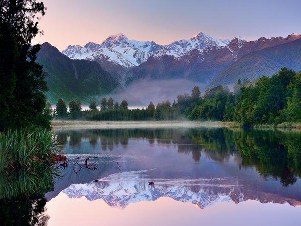 горы, лес, небо, новая зеландия, озеро, отражения, утки