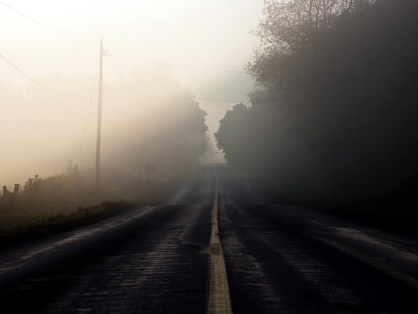 дорога, пейзаж, туман, утро