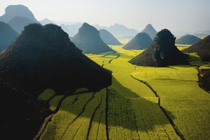 Обои на рабочий стол: apple, field, green, mountain, sky, wide