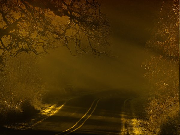 дорога, ночь, пейзаж