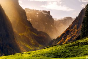 Обои на рабочий стол: Альпы, горы, лес, осень, швейцария