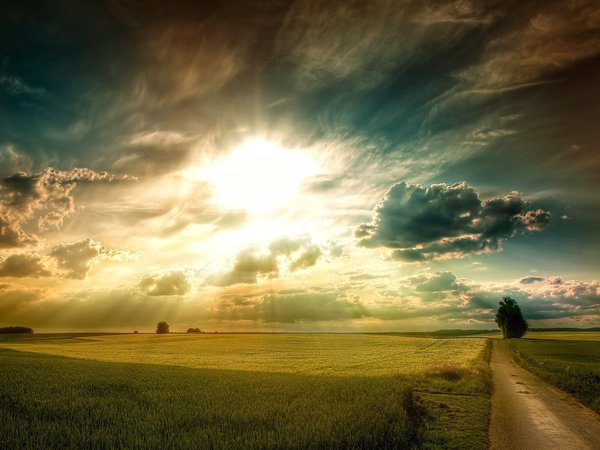 дерево, дорога, закат, зелёная, лучи, небо, облака, поля, равнина, рассвет, свет, солнце, трава