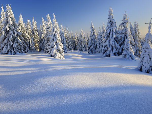 горы, деревья, зима, пейзаж, природа, снег