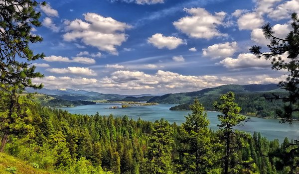 Обои на рабочий стол: Lake Coeur d'Alene, деревья, лес, облака, озеро