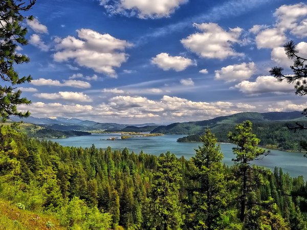 Lake Coeur d'Alene, деревья, лес, облака, озеро