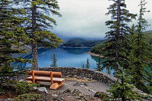 Обои на рабочий стол: Banff National Park, Lake Moraine, деревья, ели, озеро, скамейка