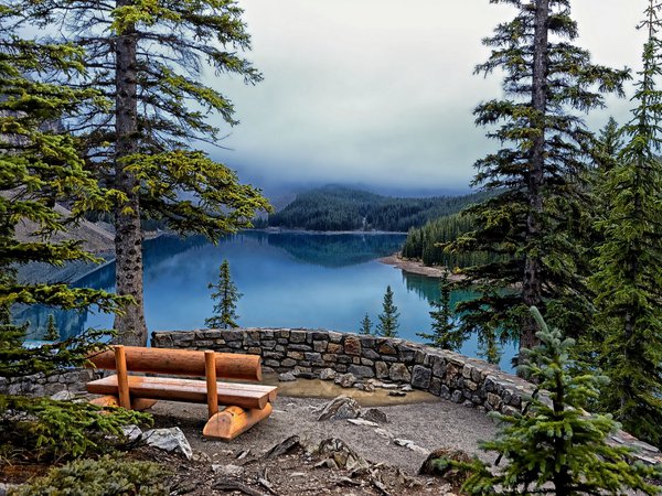 Banff National Park, Lake Moraine, деревья, ели, озеро, скамейка