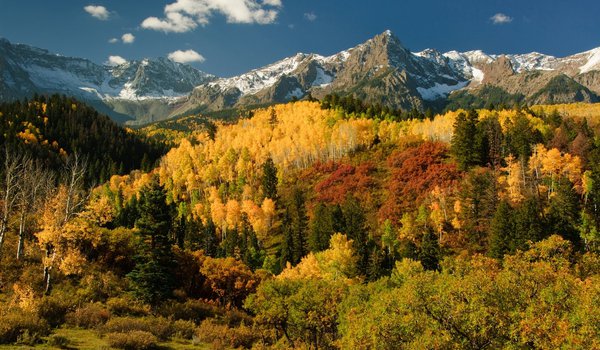Обои на рабочий стол: San Juan Mountains, горы, деревья, лес, осень