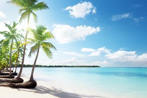 Обои на рабочий стол: море, облака, пальмы, песок, пляж