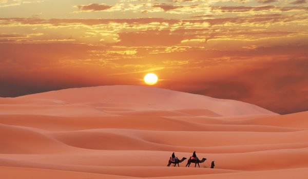 Обои на рабочий стол: berber, caravan in Sahara, desert, Morocco, берберы, караван, Марокко, пески, пустыня, Сахара