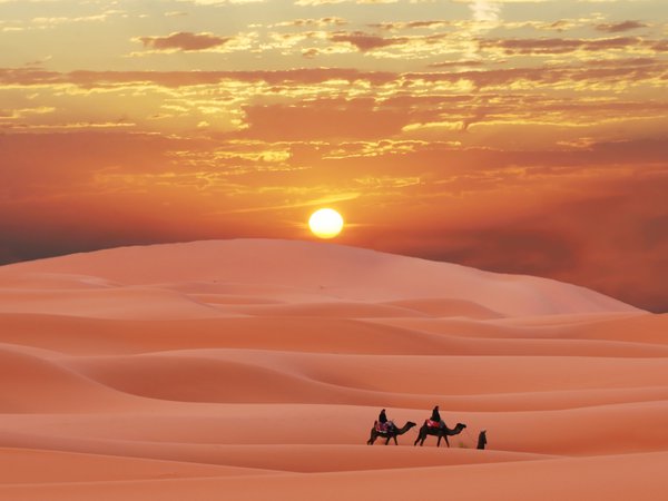 berber, caravan in Sahara, desert, Morocco, берберы, караван, Марокко, пески, пустыня, Сахара