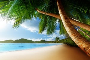 Обои на рабочий стол: beach, Caribbean, clouds, landscape, nature, ocean, palms, sea, shore, sky, берег, Карибский бассейн, море, небо, облака, океан, пальмы, пейзаж, пляж, природа