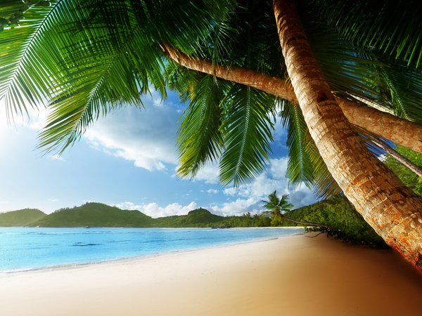 beach, Caribbean, clouds, landscape, nature, ocean, palms, sea, shore, sky, берег, Карибский бассейн, море, небо, облака, океан, пальмы, пейзаж, пляж, природа