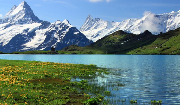 Обои на рабочий стол: Bern, Grindelwalt, switzerland, Берн, горы, Гринднльвальд, река, скалы, снег, трава, цветы., швейцария