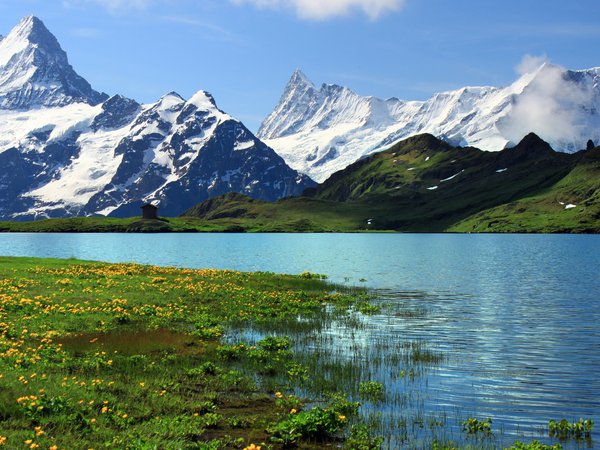 Bern, Grindelwalt, switzerland, Берн, горы, Гринднльвальд, река, скалы, снег, трава, цветы., швейцария