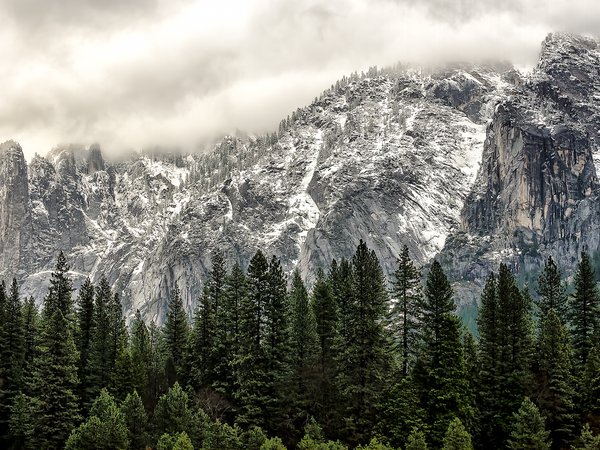 State California, usa, Yosemite National Park, горы, зима, лес, Национальный парк Йосемити, сша, Штат Калифорния