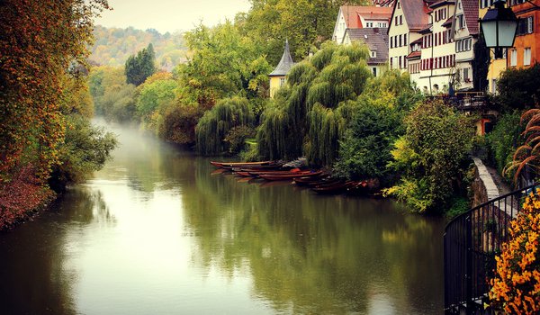 Обои на рабочий стол: deutschland, Tübingen, германия, город, деревья, дома, здания, осень, река, туман, Тюбинген