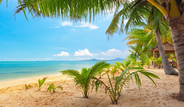Обои на рабочий стол: beautiful, clouds, Koh Samui, landscape, MaeNam Beach, nature, palm trees, sand, sea, sky, Thailand, tropical, tropical Beach, красиво, Маэнам, море, небо, облака, пальмы, пейзаж, песок, природа, Самуи, таиланд, тропический, тропический пляж