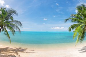 Обои на рабочий стол: beautiful, clouds, coconut palm trees, landscape, nature, panorama, sand, sea, sky, tropical Beach, кокосовыми пальмами, красивая, море, небо, облака, панорама, пейзаж, песок, природа, тропический пляж