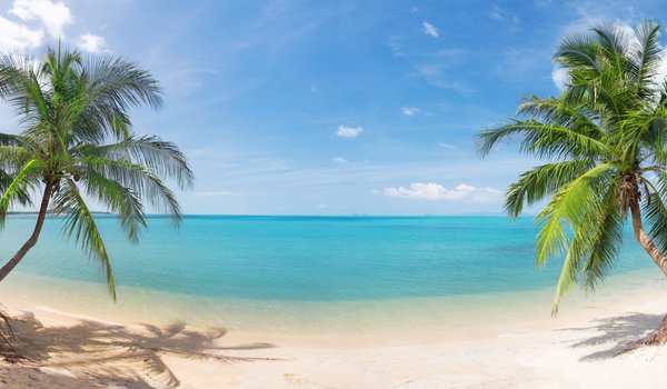Обои на рабочий стол: beautiful, clouds, coconut palm trees, landscape, nature, panorama, sand, sea, sky, tropical Beach, кокосовыми пальмами, красивая, море, небо, облака, панорама, пейзаж, песок, природа, тропический пляж