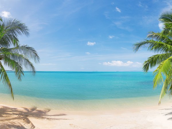 beautiful, clouds, coconut palm trees, landscape, nature, panorama, sand, sea, sky, tropical Beach, кокосовыми пальмами, красивая, море, небо, облака, панорама, пейзаж, песок, природа, тропический пляж