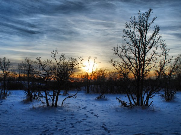 вечер, деревья, закат, зима, мароз, пейзаж, природа, снег