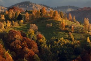 Обои на рабочий стол: Александр Перов, деревья, осень, пейзаж, природа, Румыния, холмы